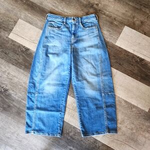 Pilcro By Anthropologie  Kenna Heritage Barrel Jeans Sz 29